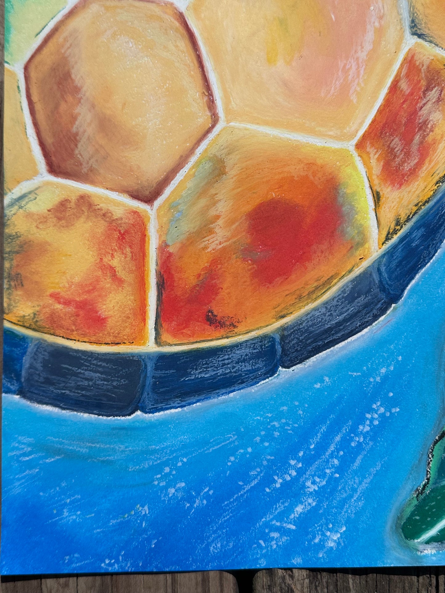 Sea Turtle Print