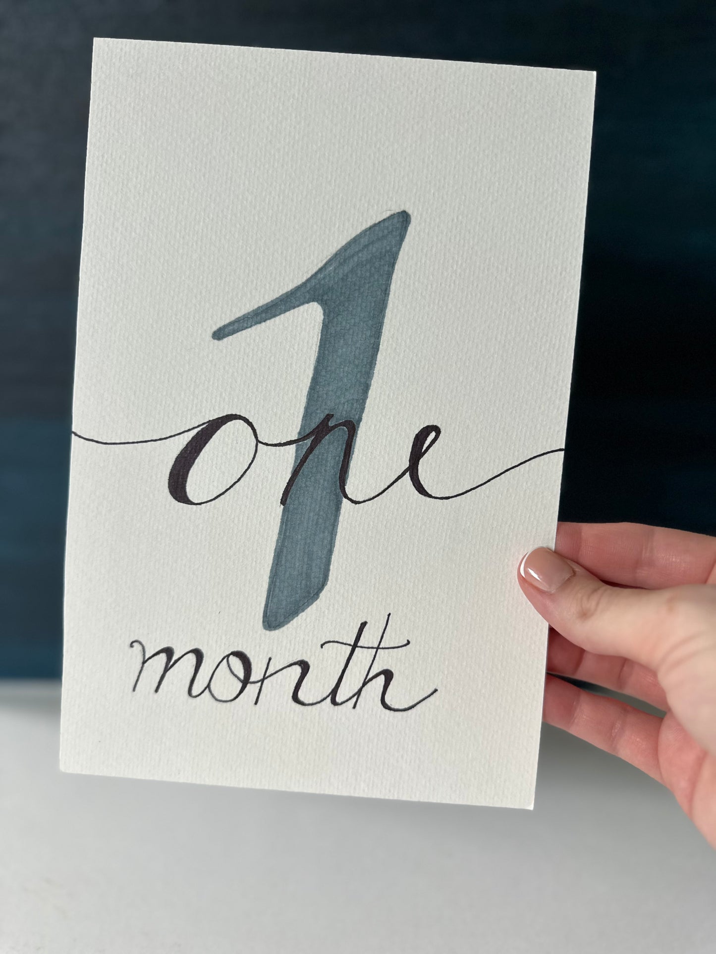 Baby Monthly Milestones BUNDLE