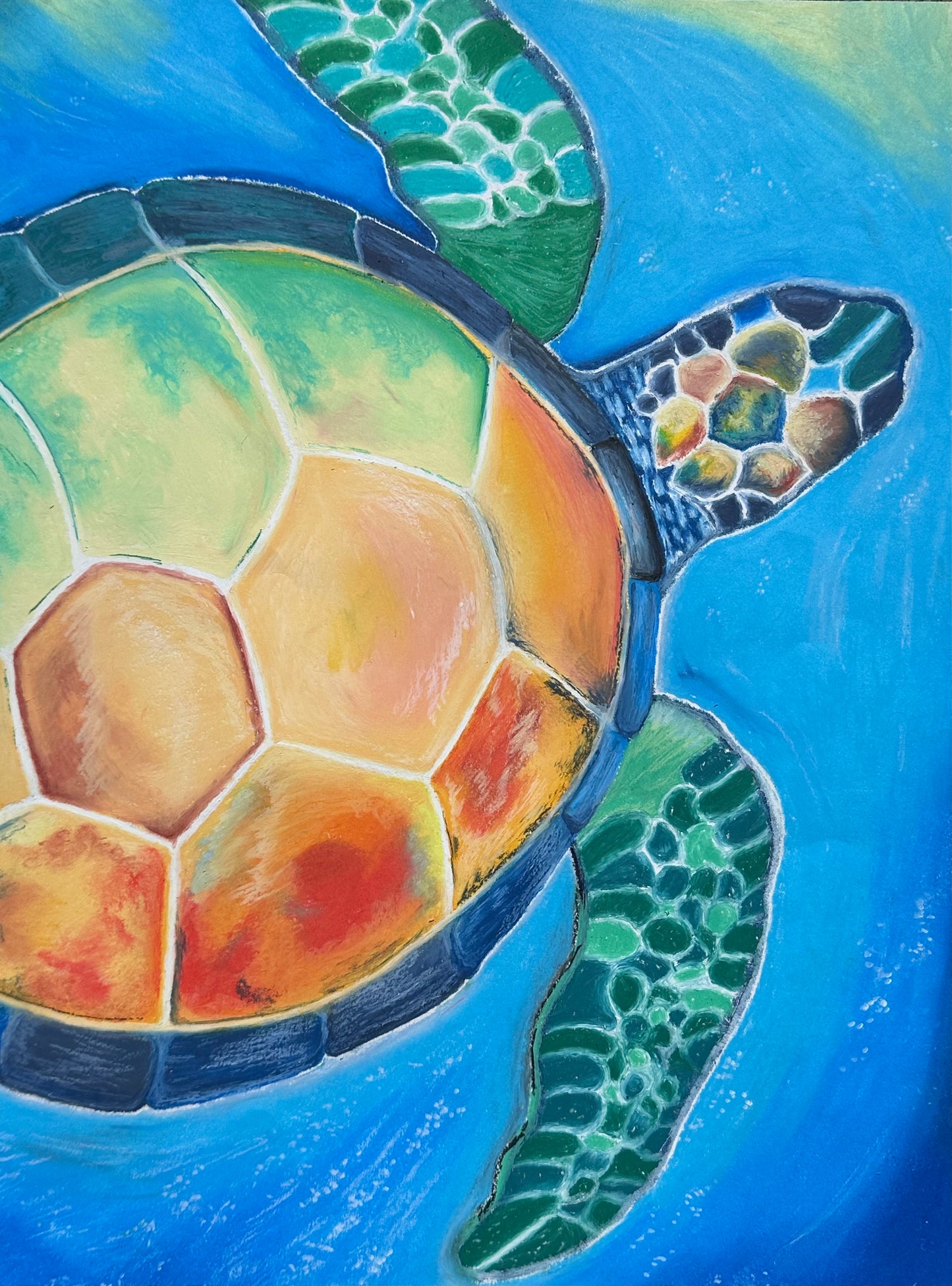 Sea Turtle Print
