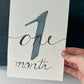 Baby Monthly Milestones BUNDLE