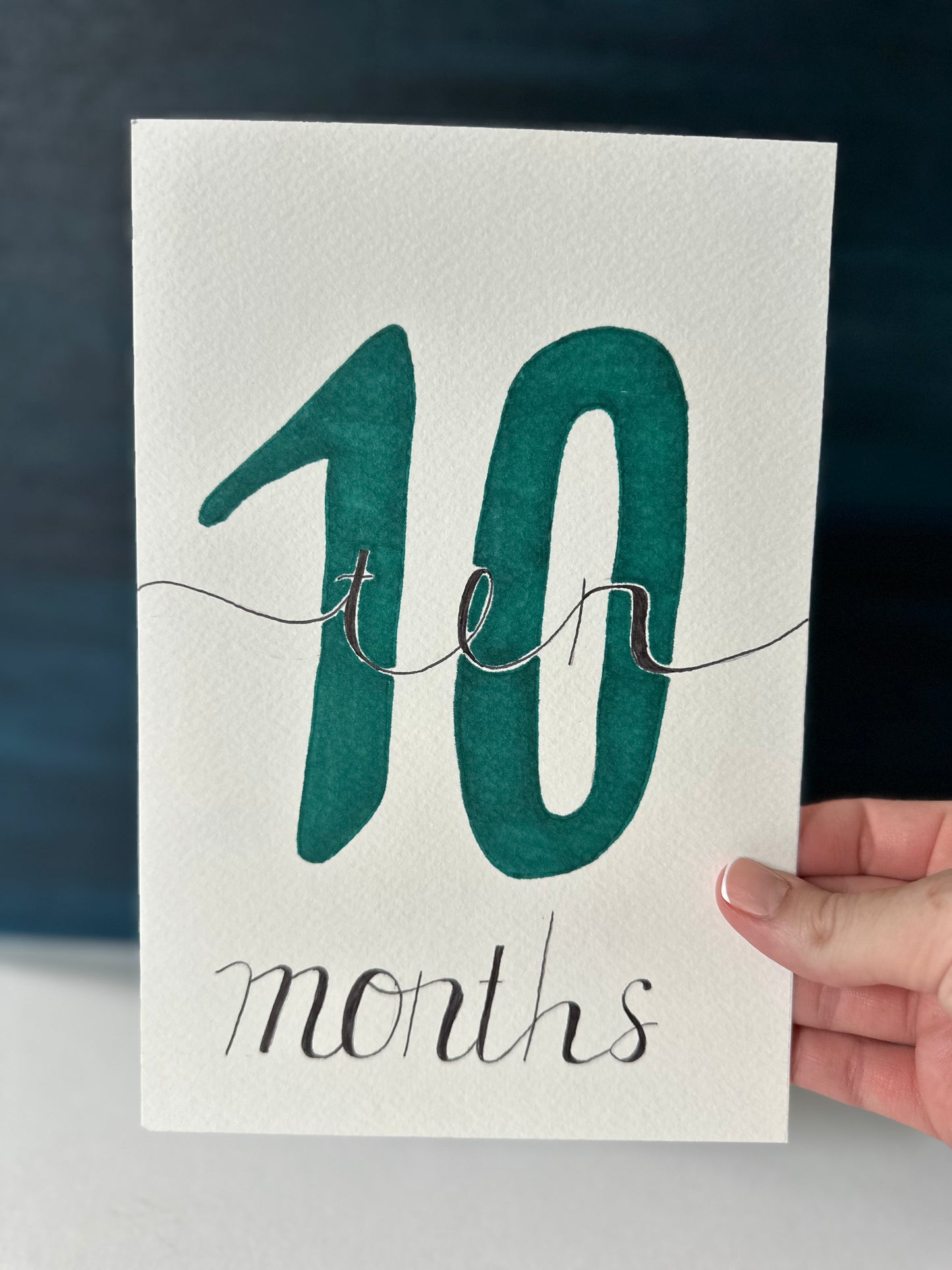 Baby Monthly Milestones BUNDLE