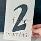 Baby Monthly Milestones BUNDLE