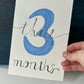 Baby Monthly Milestones BUNDLE