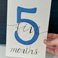 Baby Monthly Milestones BUNDLE