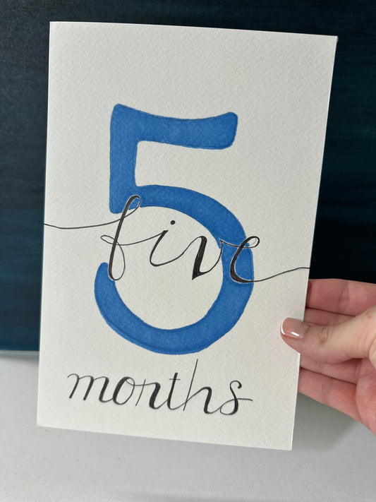 5 Month Baby Milestone Sign