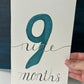 Baby Monthly Milestones BUNDLE