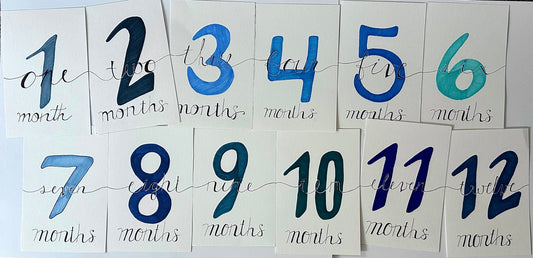 Baby Monthly Milestones BUNDLE