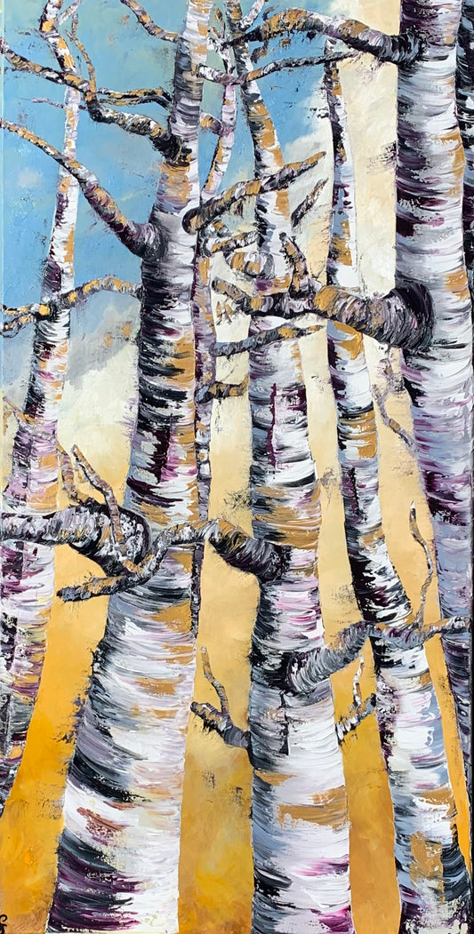 Birch Trees in the Wind