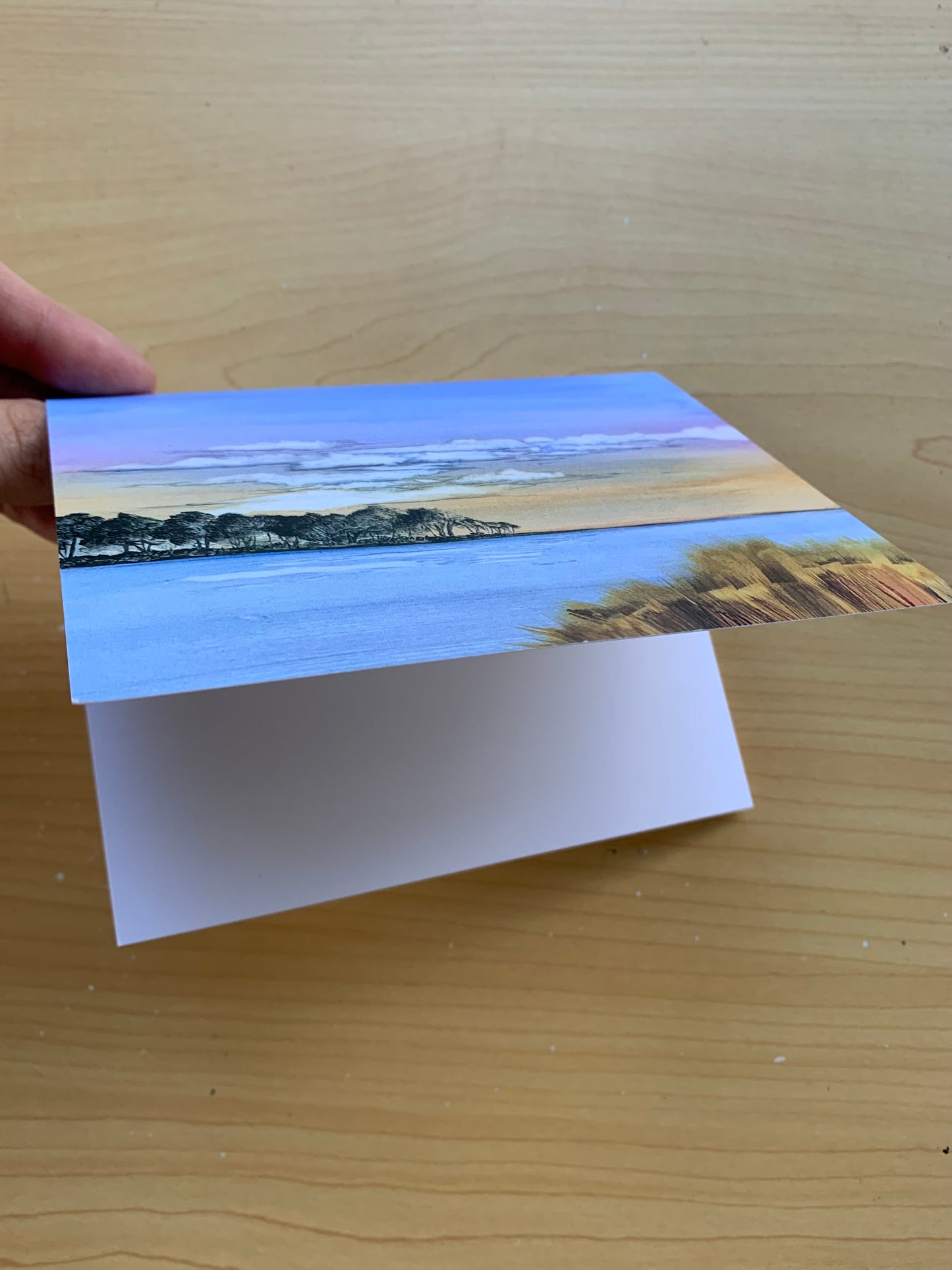 Costal Greeting Cards